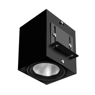 Square Pass Light Ceiling Led Light Square Pass Double Head Grille Downlight Spotlight COB Commercial Bucket Gallbladder Light