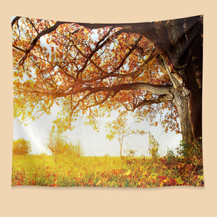 Amazon tapestry ins Wind hanging cloth room decorative cloth live background cloth bedroom bedside tapestry tapestry wholesale