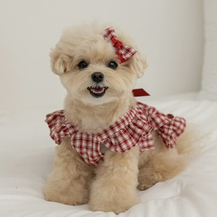 Dog Pet Clothes Spring and Summer Cat Plaid Butterfly Knot Skirt Easter Birthday Small Medium Dog Headwear