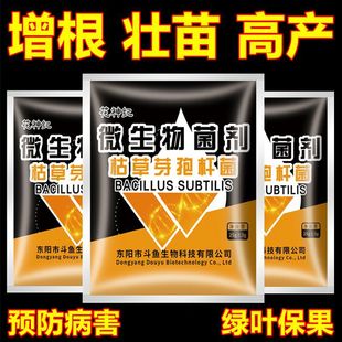 Bacillus subtilis bacterial wilt Botrytis cinerea foliar water-soluble fertilizer anti-root rot microbial agent rooting strong seedling