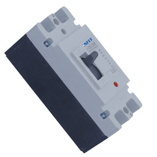 Dc 500V 600V Dc Molded Case Circuit Breaker 2Pole 63A 80A 100A 125A for Photovoltaic