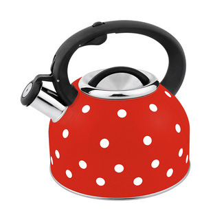 Hausroland cross-border stainless steel sounding kettle gas open flame induction cooker available export kettle 2.5L