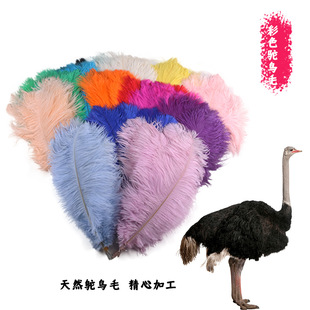 Factory direct 35-40cm ostrich feather stage performance color big feather diy wedding decoration flower ostrich