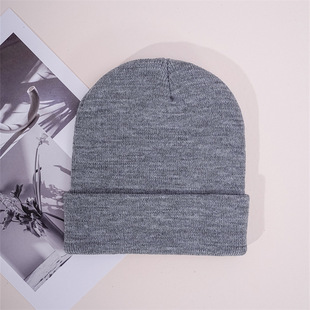 Korean Style Autumn and Winter New Knitted Woolen Hat Cloth Label Versatile Women's Cold-proof and Warm Cold Hat Men's ins Hip-hop Pullover Hat