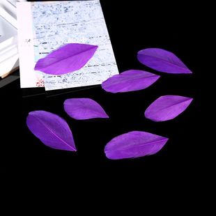 40-80mm color floating head feather DIY jewelry feather goose feather accessories crafts raw materials wholesale