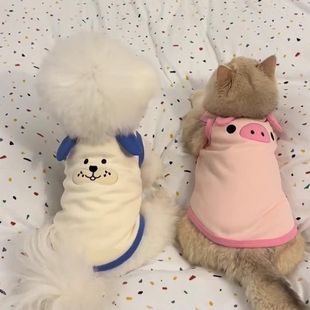 Anti-lint Cat Clothes Spring and Summer Korean Style Cute Ins Gold Gradual English Short Muppet Cat Dog Summer Vest