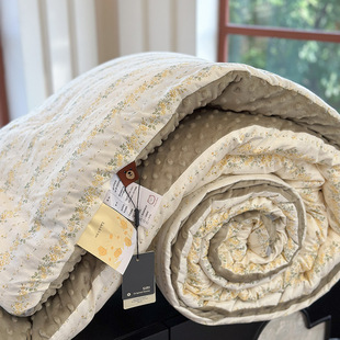 2024 new with cotton peas quilt quilt core 200*230cm spring and autumn quilt -5.5kg alphabet bear