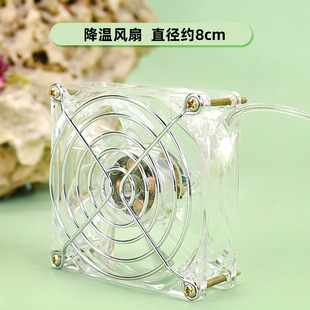Hamster cooling fan acrylic cage decoration cooling Golden Bear rabbit summer heatstroke prevention cooling decoration supplies