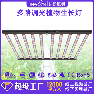 Two-Way Dimming Can Be Switched 1200W Plant Lamp Led Greenhouse Plant Fill Light 4X6F / 1000W High Power