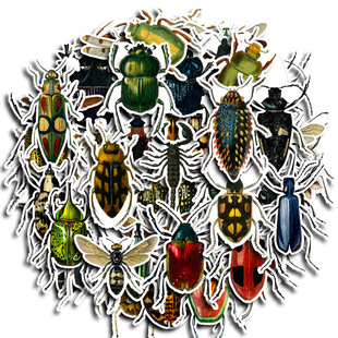 Cross-border Amazon wholesale retro insects 60 cute beetle Journal stickers laptop waterproof stickers
