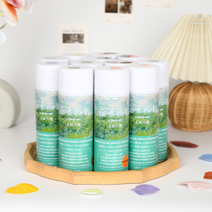 Flower shop supplies flower spray color agent dried flower spray ice blue dye starry flower color flower spray paint