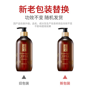 Zhiduo Wormwood ginger essential oil 500ml body skin care large capacity moisturizing factory wholesale delivery