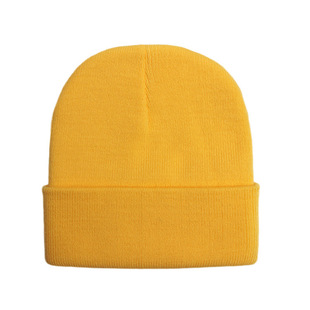 Foreign Trade Cross-Border Customized L-Pattern Acrylic Light Plate Pure Color Embroidered Simple Cold Hat Windproof Ear Protection Warm Knitted Hat
