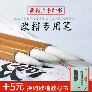 Oukai Brush Regular Script and Calligraphy Brush Ouyang Xun Professional Middle Kai European Medium Beginner's Pen