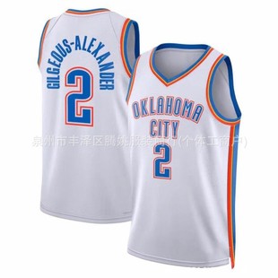 2025 New Season New Jersey Thunder Team No.2 Alexander Quick-dry Basketball Vest Collection Cross-border