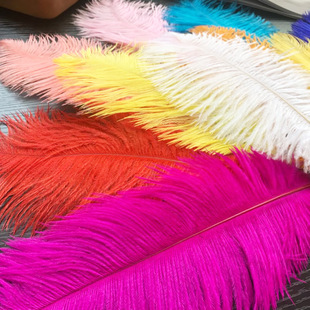 Ostrich feather color feathers 20-25cm in stock wholesale wedding table lamp decoration stage diy material clothing accessories