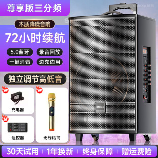 Xinke Square Dance Audio 2025 New Outdoor Karaoke Special High Power Trolley Speaker Bluetooth Professional Performance