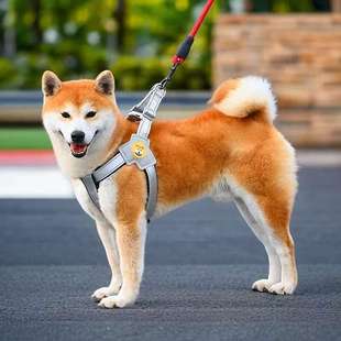 Explosive Chest Back suit Dog Traction Rope Reflective Chest Strap Collar Strap Vest Belt Traction Durable and Comfortable
