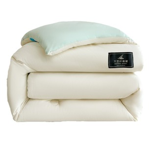 Spring and Autumn Quilt Cotton Quilt Core Soybean Fiber Winter Quilt Thickened Warm Summer Winter Single Four Seasons Universal Dormitory