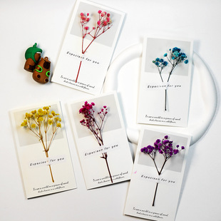 Simple Korean Style Fresh Greeting Card Creative Handmade Blessing Small Card Thanksgiving Teachers' Day Business Dried Flower Gift Card