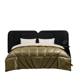 Cross-border black gold graphite thin self-heating antibacterial constant temperature quilt student dormitory single autumn and winter quilt core wholesale