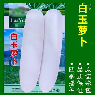 Vegetable Seed Wholesale Company Genuine Four-Season Sowing Winter Balcony Courtyard Easy Planting Encyclopedia Seeds of Various Vegetables