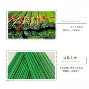 Vegetable field stand vegetable stand bean cucumber climbing stand grape passion fruit stand courtyard plant climbing flower stand