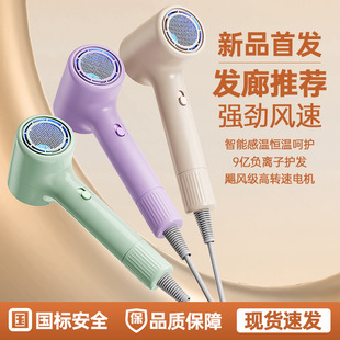 Factory Customized High-Speed Hair Dryer Home Hair Care Hair Dryer Student Dormitory Barber Shop Electric Hair Dryer Strong Wind