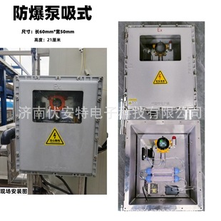 Трубопроводная специальная промышленная сигнализация горючих газов vocs детектор утечки токсичных газов дымоход насос всасывающий