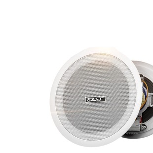 Xianke (SAST) Ceiling Speaker Ceiling Wall Hanging Ball Audio Embedded Public Broadcast Shop Background Music