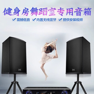 Home theater karaoke song restaurant dance studio power amplifier sound gym speaker professional conference suit