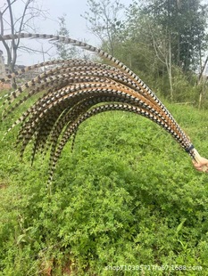 Wholesale chicken feathers Peking opera plume opera Qiao Hua Dan headdress stage performance feather decoration wild pheasant plume