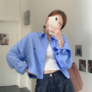 Korean style high waist top women's vertical striped short embroidered shirt lazy style long sleeve sun protection shirt coat fashion