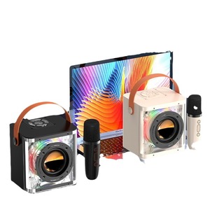 Home Lighting Bluetooth Sound Large Volume high quality Portable Microphone Bluetooth Speaker Integrated Square Dancer