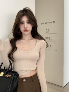 Женская футболка с длинными рукавами из ледяного шелка Pure Desire Spice, осень 2023, приталенный укороченный топ с коротким низом для похудения