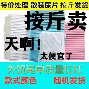 Тедди продает товары для животных Маленькие голландские свиньи не мокрые