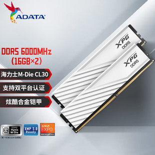 32GB(16GBX2) suit DDR5 6400 Desktop Memory