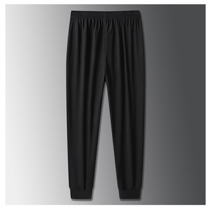 Cross-border E-commerce Summer Casual Pants Men's Summer Thin Quick-drying Pants Straight Leg Leg Slimming Light and Thin Sports Pants