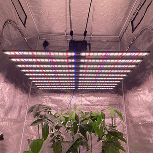 Led full spectrum greenhouse plant light 1000w octopus fill light 2 uv purple light dimming plant growth light