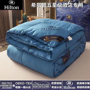 Hilton five-star duvet 95 white goose down spring, autumn and winter thick warm dormitory duck down winter quilt core