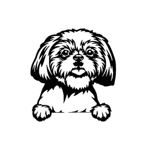 Cross-border foreign trade car stickers dog pet stickers car door bumper decoration car window laptop stickers