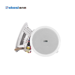 Dekesi/dekesi-backcasting Conference Engineering Category-d-116P-2-bluetooth Active Ceiling SPeaker 10W