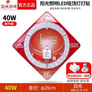 Sunshine Lighting LED ceiling lamp wick light source lamp board transformation round energy-saving lamp replacement module lamp panel patch