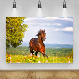 ebay Amazon wish a generation of photography background cloth Steed Series 3D digital printing room decoration