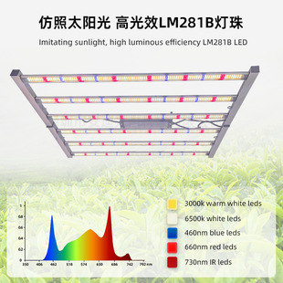 Special Plant Lamp for Fruit and Vegetable Greenhouse 720W Full Spectrum Led Plant Growth Lamp Farm Flower Planting Fill Light