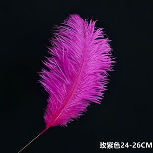 Feather flowers peacock valentine's day net red bouquet packaging materials imported white ostrich feather bouquet decoration