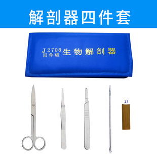 Biological Dissector Four-piece Biological Experimental Teaching Instrument Stainless Steel Anatomical Specimen Making Tool