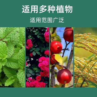 Soil Activator Wholesale Rooting Plant Fertilizer Loose Soil Anti-compactness Mineral Source Fulvic Acid Potassium Activated Treasure