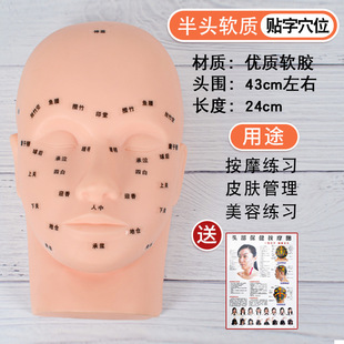 Skin management head model with acupoint model head big shoulder soft beauty salon massage practice technique head model lying down