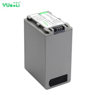 Factory Direct Sales Suitable for Sony Np-Fv100D Camera Battery with Built-In Type-C Charging Port